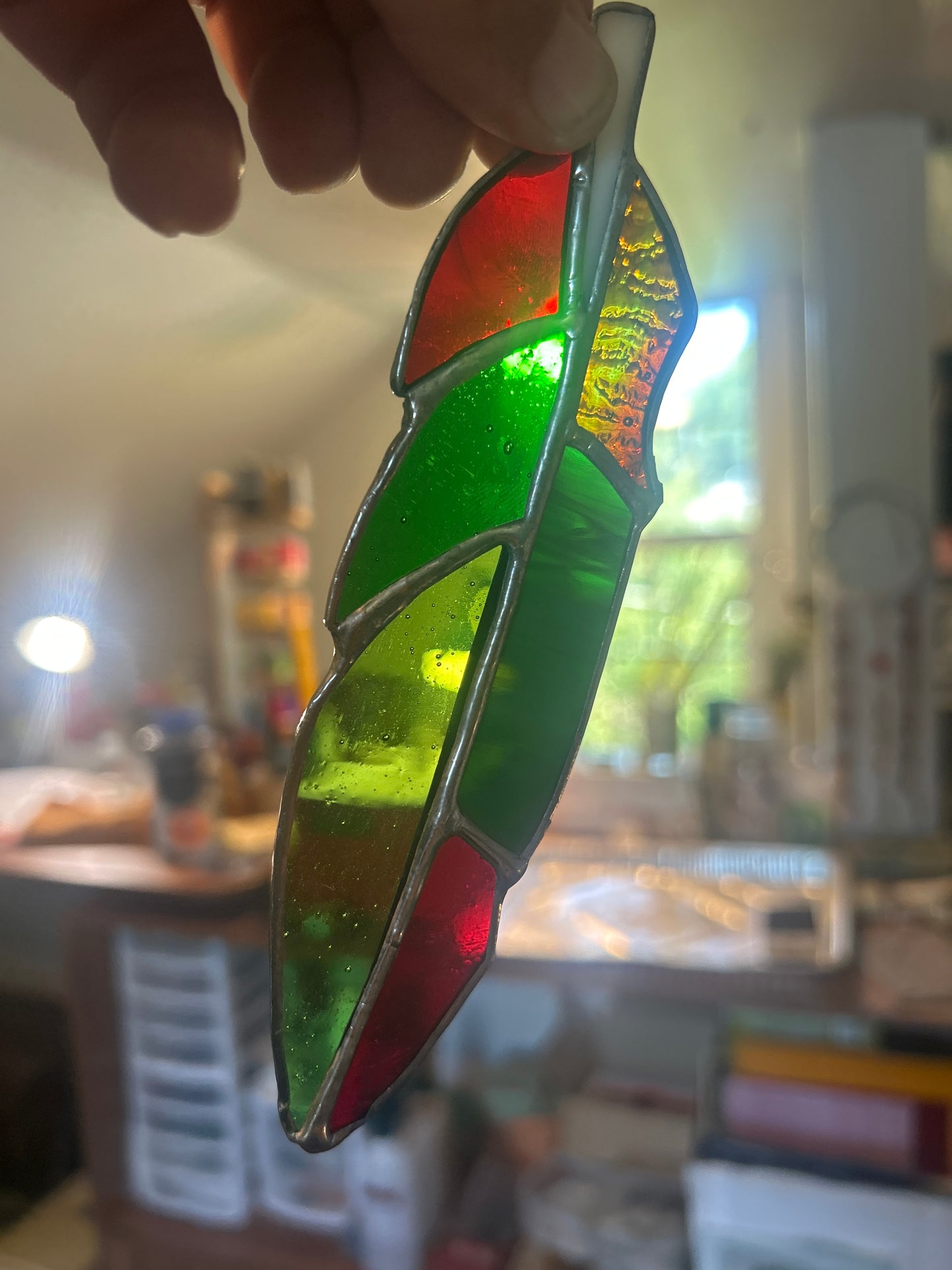Red and Green Feather