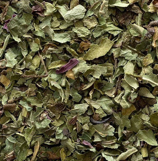 Echinacea | Immune Support